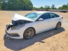 2017 Hyundai Sonata Sport 2.0t White vin: 5NPE34AB4HH445568