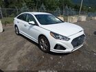 2019 Hyundai Sonata Sel White vin: 5NPE34AF1KH817491