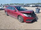 2016 Hyundai Sonata Sport Red vin: 5NPE34AF2GH302748