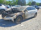 2017 Hyundai Sonata Sport Серебряный vin: 5NPE34AF2HH452554