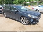 2019 Hyundai Sonata Sport Black vin: 5NPE34AF2KH759486