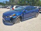 2017 Hyundai Sonata Sport Blue vin: 5NPE34AF6HH485511