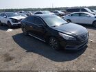 2017 Hyundai Sonata Sport Черный vin: 5NPE34AF6HH552852