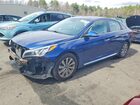 2017 Hyundai Sonata Sport Blue vin: 5NPE34AF7HH502977