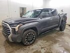 2025 Toyota Tundra Crewmax Limited Gray vin: 5TFJA5DBXSX314842