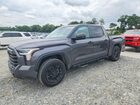 2022 Toyota Tundra Sr5 Gray vin: 5TFLA5AB4NX019379