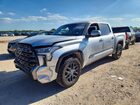 2023 Toyota Tundra Platinum Silver vin: 5TFNA5DB3PX085963