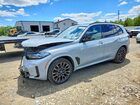 2024 Bmw X5 Xdrive40i Gray vin: 5UX23EU05R9S31166