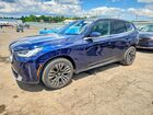2025 Bmw X3 30 Xdrive Blue vin: 5UX53GP01S9Z38484