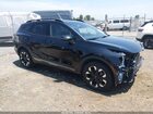 2024 Kia Sportage X-line Black vin: 5XYK6CDF3RG182498