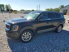 2020 Kia Telluride Lx Black vin: 5XYP2DHC9LG058671