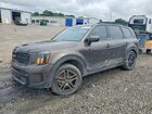 2024 Kia Telluride Ex X-line Gray vin: 5XYP3DGC4RG519721