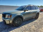 2025 Kia Telluride Ex X-line Green vin: 5XYP3DGC5SG604850