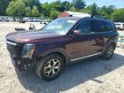 2020 Kia Telluride Ex Burgundy vin: 5XYP3DHC0LG090535