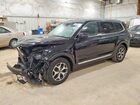 2021 Kia Telluride Ex Black vin: 5XYP3DHC2MG109216