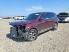 2020 Kia Telluride Ex Maroon vin: 5XYP3DHC9LG068193