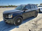 2024 Kia Telluride Sx-prestige X-pro Black vin: 5XYP5DGC5RG501710
