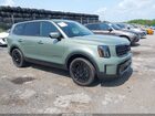 2025 Kia Telluride Sx X-line Green vin: 5XYP5DGC6SG640704