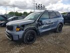 2024 Kia Telluride Sx-prestige X-line Gray vin: 5XYP5DGC8RG539884