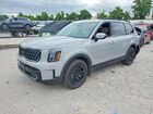 2025 Kia Telluride Sx-prestige X-line Gray vin: 5XYP5DGC9SG727254