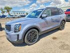 2021 Kia Telluride Sx Gray vin: 5XYP5DHC3MG163490