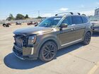 2021 Kia Telluride Sx Green vin: 5XYP5DHC7MG128371
