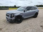 2020 Kia Telluride Sx Blue vin: 5XYP5DHCXLG073669