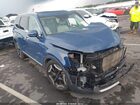 2023 Kia Telluride S Blue vin: 5XYP64GC7PG331277