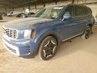 2025 Kia Telluride S Blue vin: 5XYP64GC7SG686166