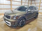 2025 Kia Telluride S Green vin: 5XYP6DGC3SG603672