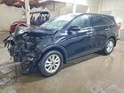 2019 Kia Sorento L Black vin: 5XYPG4A32KG596381