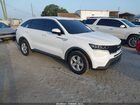 2023 Kia Sorento Lx Белый vin: 5XYRG4LC6PG186390