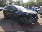 2025 Kia Sorento Ex Gray vin: 5XYRHDJF5SG375910
