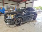 2025 Kia Sorento Sx Black vin: 5XYRK4JFXSG378819