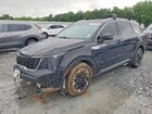 2024 Kia Sorento S Black vin: 5XYRL4JC3RG278719
