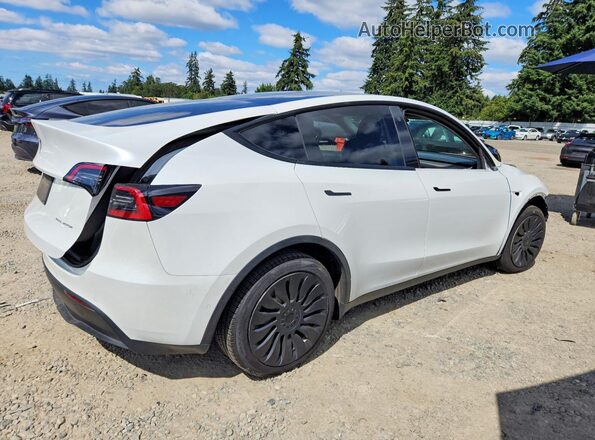 2021 TESLA MODEL  Y