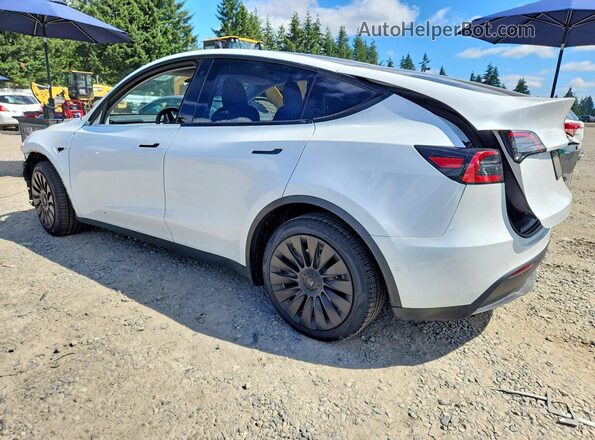 2021 TESLA MODEL  Y