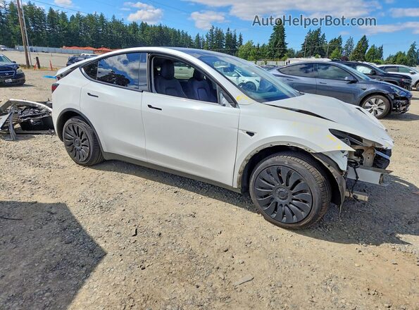 2021 TESLA MODEL  Y