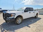 2019 Ford F150 Supercrew White vin: 1FTFW1E5XKKE64018