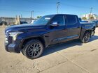 2023 Toyota Tundra Platinum Blue vin: 5TFNA5DB7PX106863