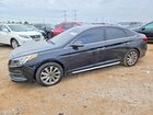 2017 Hyundai Sonata Sport Черный vin: 5NPE34AF5HH534715