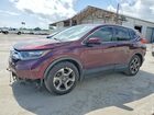 2019 Honda Cr-v Exl Purple vin: 7FARW1H89KE008435