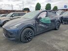 2024 Tesla Model Y Gray vin: 7SAYGDED1RF008207