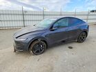2026 Tesla Model Y Gray vin: 7SAYGDED9TF613681
