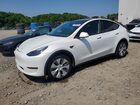 2024 Tesla Model Y White vin: 7SAYGDEDXRF084220