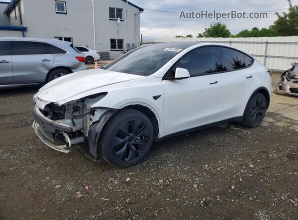2025 TESLA MODEL Y