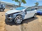 2024 Tesla Model Y White vin: 7SAYGDEE6RA259598