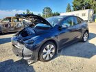 2024 Tesla Model Y Gray vin: 7SAYGDEE6RF081694