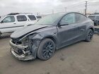 2024 Tesla Model Y Gray vin: 7SAYGDEE7RF036070