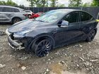 2024 Tesla Model Y Gray vin: 7SAYGDEF7RF043335